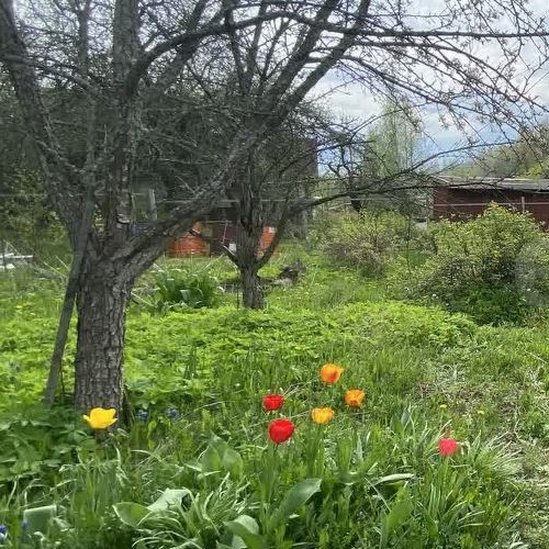 Коттедж/дом пос. Тихорицы, улица Набережная, 6