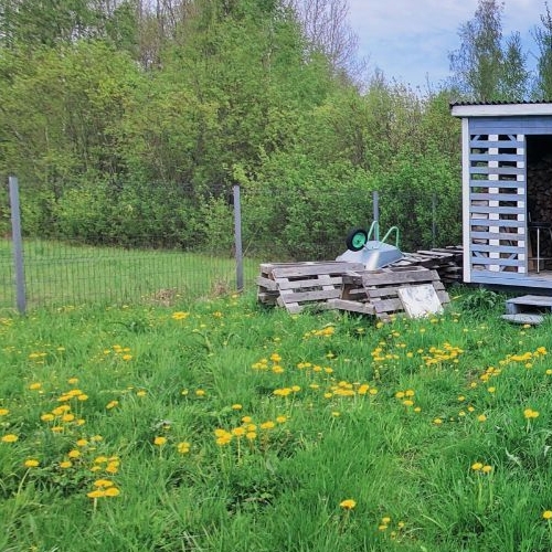 Коттедж/дом пос. Молодцово, улица Дружная,  д. 4