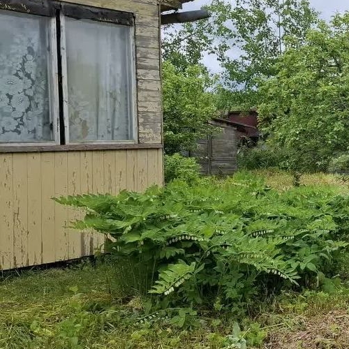 Коттедж/дом Посадников остров садоводческий массив, Скороход-2 СНТ, 2-я линия, 71