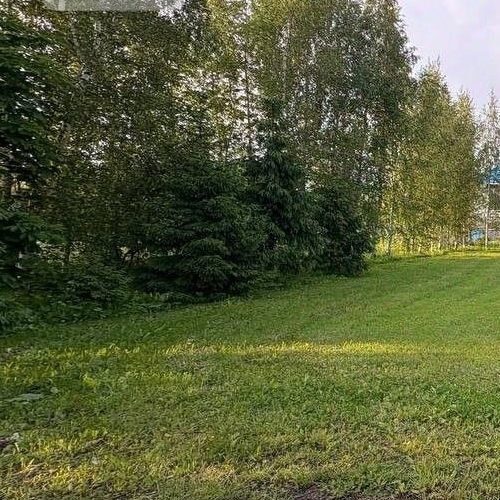 Земельный участок Пушкин, СНТ Дони тер., 486