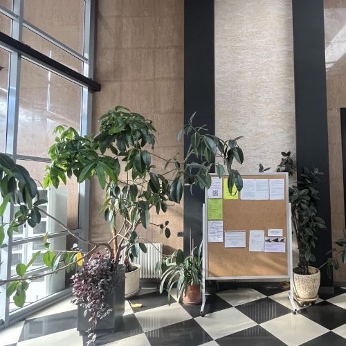 2-комн квартира Бухарестская улица, 110к1