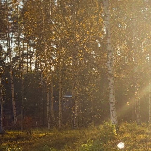 Земельный участок пос. Первомайское, Ручеек-Первомайское СНТ