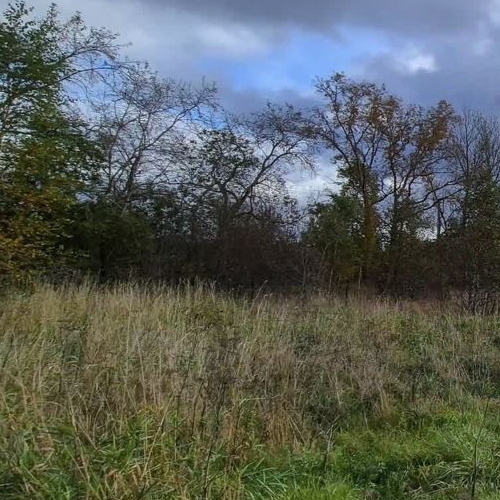 Земельный участок д. Верхние Венки, улица Рождественская