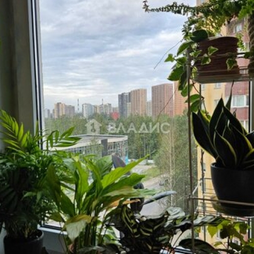 1-комн квартира Мурино, ул Оборонная,  д. 2,  к. 2