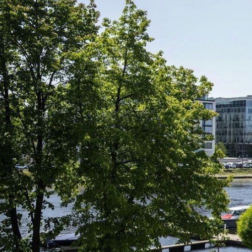 4-комн квартира Вязовая улица, 8