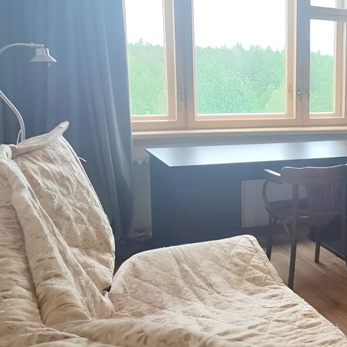 1-комн квартира д. Новое Девяткино, улица Энергетиков, 8