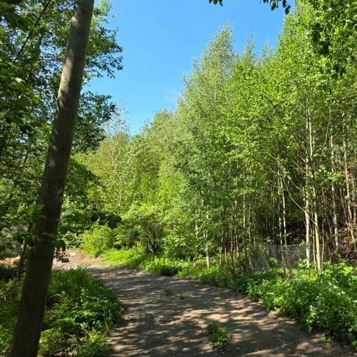 Земельный участок д. Порошкино, улица Лебяжья