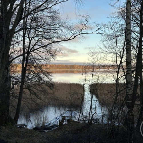 Земельный участок Прибылово пос., Луговая ул. ,  д. 34