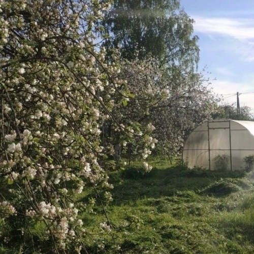 Коттедж/дом пос. Осьмино, 6