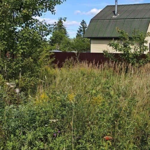 Земельный участок Механизатор СНТ, улица 1-я