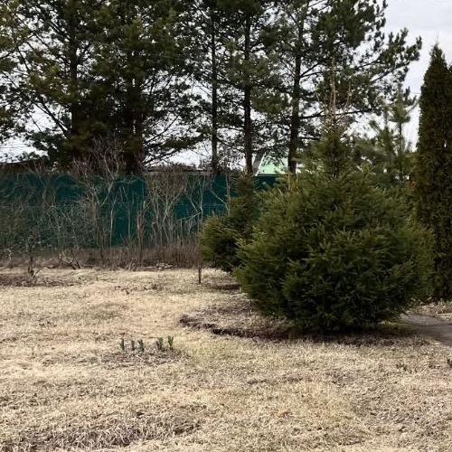 Коттедж/дом Ракитино садовое товарищество, Будогощь пгт, 4-я линия