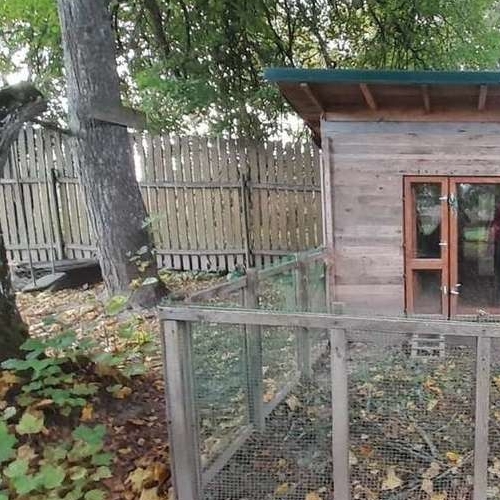 Коттедж/дом д. Малые Озерцы, улица Нижняя, 6