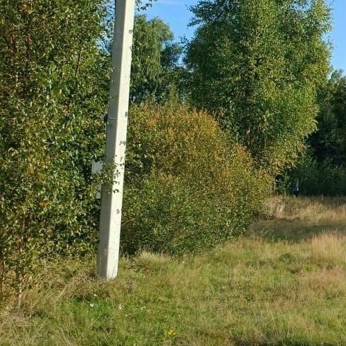 Коттедж/дом д. Заостровье, улица Песочная