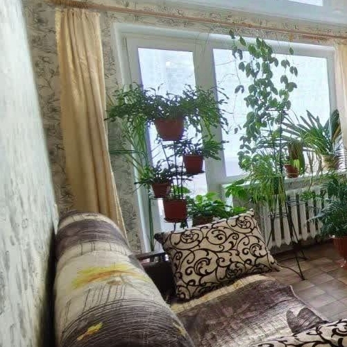 1-комн квартира с. Паша, улица Советская, 185