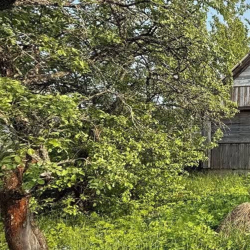 Коттедж/дом Пупышево садоводческий массив, Росинка СНТ, 6-я линия, 128