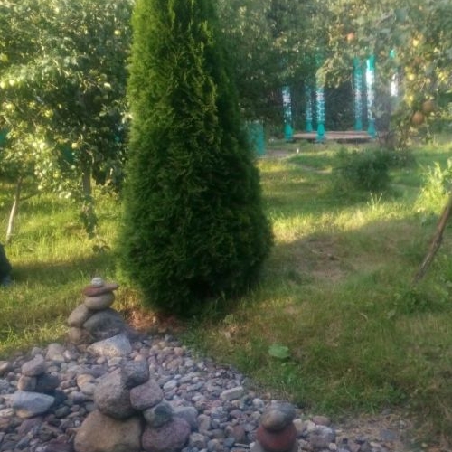 Коттедж/дом пос. Пчевжа, улица Песчаная, 10