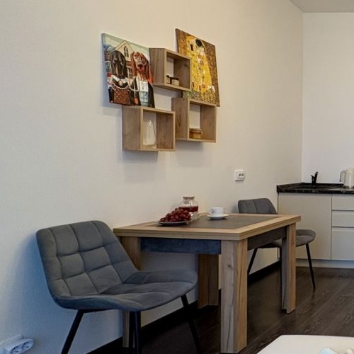 Студия проспект Ветеранов, 196