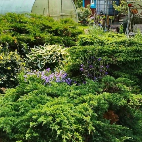 Коттедж/дом Беляевский Мох садоводческий массив, Победа СНТ, 7-я линия,  д. 26