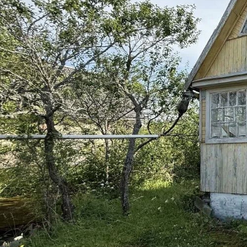 Коттедж/дом Энергетик СНТ, улица 5-я, 203