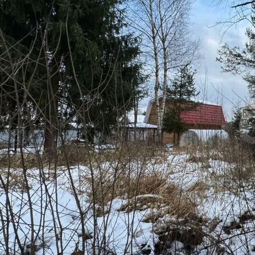 Земельный участок Борисова Грива садоводческий массив, Фурнитура СНТ, 1-я линия