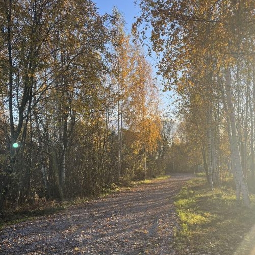 Земельный участок Сергиево тер., улица Красная