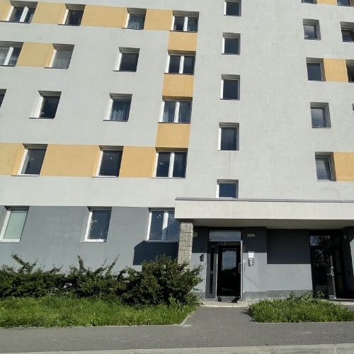 2-комн квартира пос. Шушары, Московское шоссе, 256к8