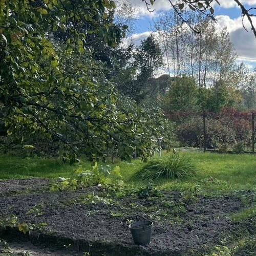 Коттедж/дом СНТ Плес-1 массива Рубеж дп,  д. 210