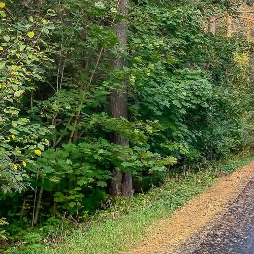 Земельный участок пос. Песочный, проезд 4-й