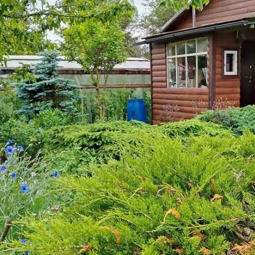 Коттедж/дом Беляевский Мох садоводческий массив, Победа СНТ, 7-я линия,  д. 26