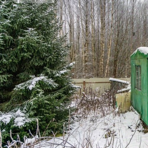 Земельный участок д. Капитолово,  д. 52