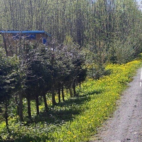 Земельный участок Надежда ТСН,  д. 490