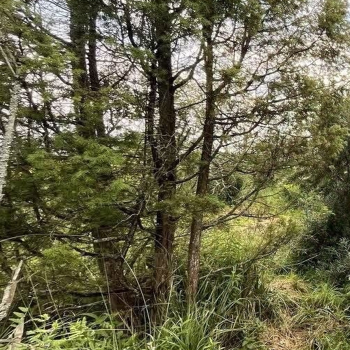 Коттедж/дом Автомобилист СНТ, улица 21-я, 41