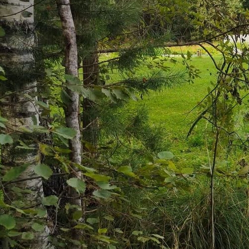 Земельный участок д. Лемовжа, улица Новодеревенская,  д. 25