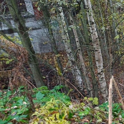 Земельный участок д. Порошкино, улица Лебяжья