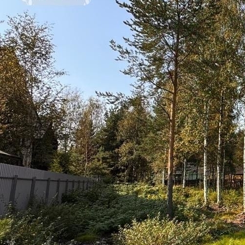 Земельный участок Охтинский парк кп, д. Энколово, улица Левашова