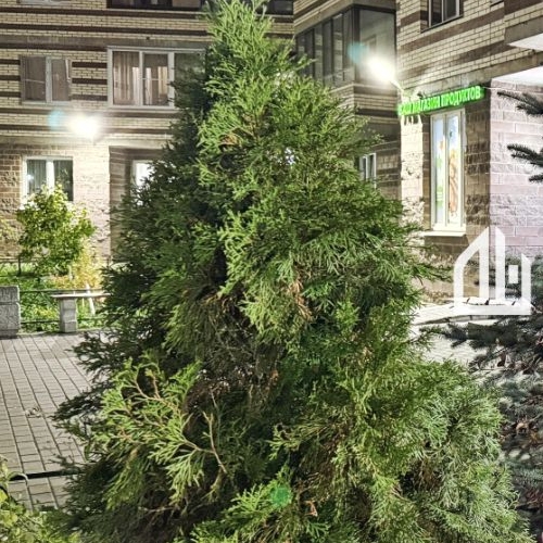 Студия Мурино, улица Шоссе в Лаврики, 59к1