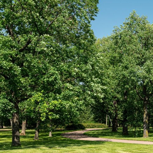 Коттедж/дом Петергоф, улица Средняя, 22