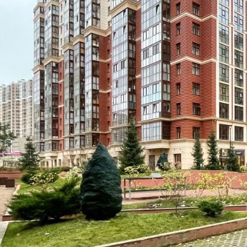 2-комн квартира улица Дыбенко, 8к2