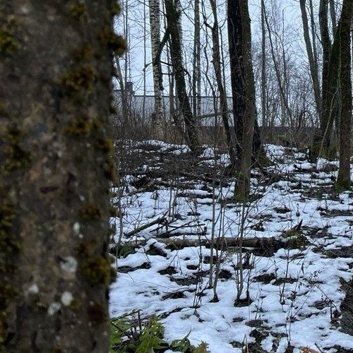 Земельный участок Токсово ОзероПарк кп, пос. Новое Токсово