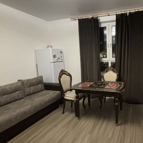 1-комн квартира Новоселье городской поселок, улица Большая Балтийская, 10к1