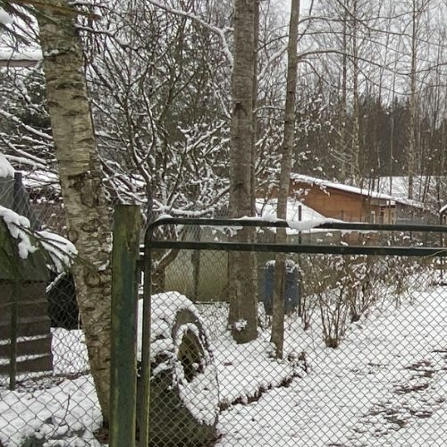 Коттедж/дом пос. При железнодорожной станции Каннельярви, Синули СНТ,  д. 175