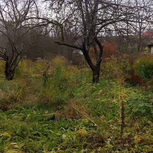 Коттедж/дом Сланцы, Парковая улица, 12