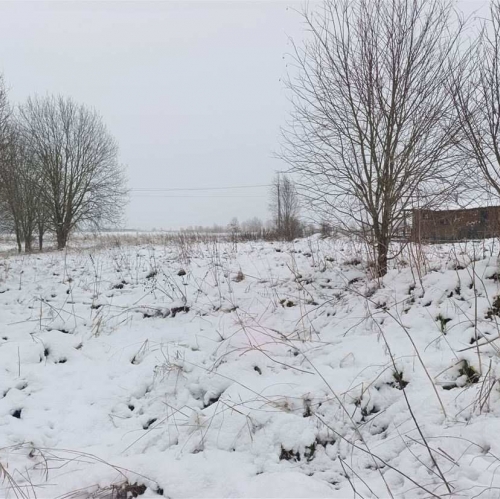 Земельный участок Луйсковицы