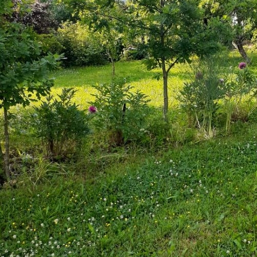 Земельный участок пос. Белоостров, СИЗ СНТ, дорога 5-я