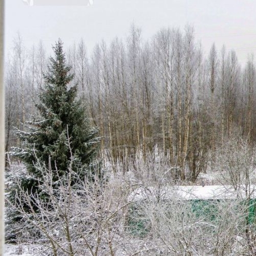 Земельный участок д. Капитолово, 52