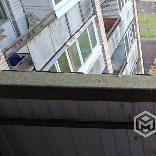 Комната Суздальский проспект, 61