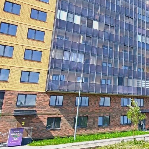 Студия д. Новое Девяткино, улица Главная, 2