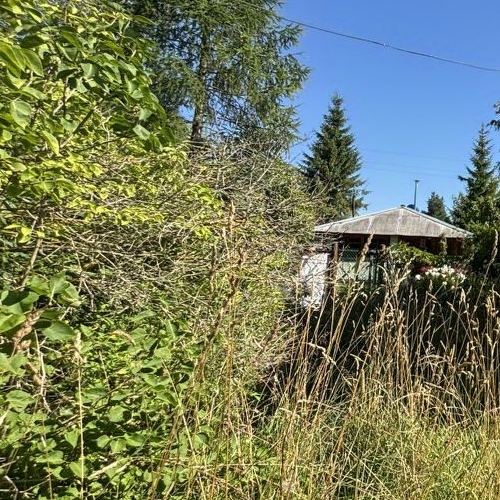 Коттедж/дом Скворицы массив, Пудость СНТ, 44