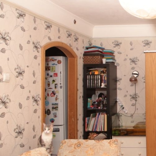 3-комн квартира Пискаревский проспект, 56К1