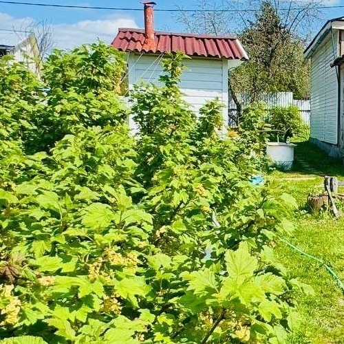 Коттедж/дом Заклинское СНТ, улица 1-я Центральная